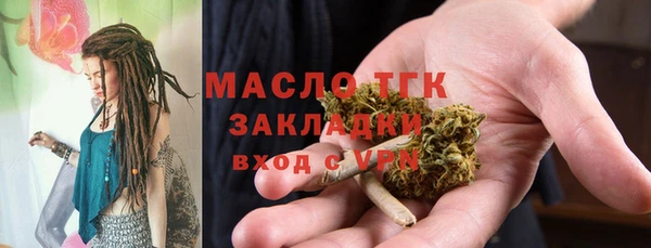 дмт Ельня