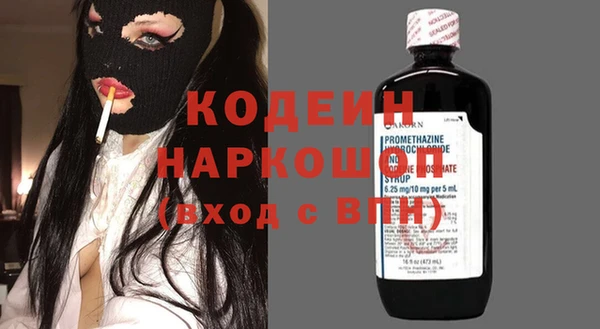 индика Заволжск