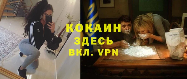 хмурый Семилуки