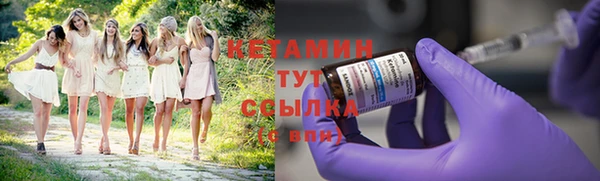 индика Заволжск