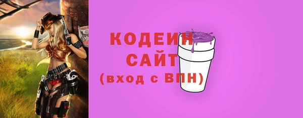 индика Заволжск