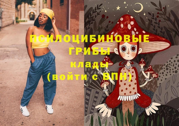 хмурый Семилуки