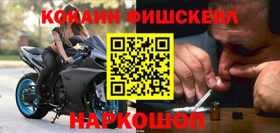 крисы Дубна